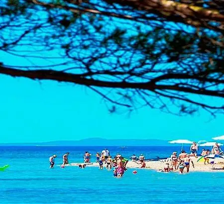 Vesna * Zaton (Zadar)